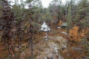 埃农泰基厄Ainutlaatuinen metsämajoitus的森林的空中景观,背景是房子