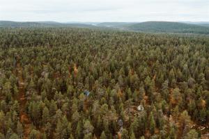 埃农泰基厄Ainutlaatuinen metsämajoitus的树木林的空中景观