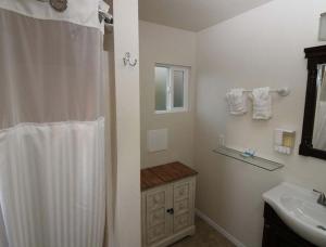 圣路易斯-奥比斯保Back Bay Inn的浴室配有淋浴帘和盥洗盆。