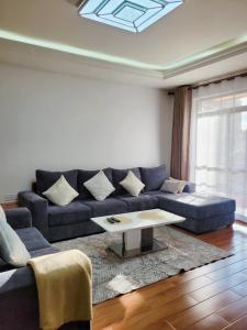 内罗毕Stunning and serene homes的客厅配有蓝色的沙发和茶几