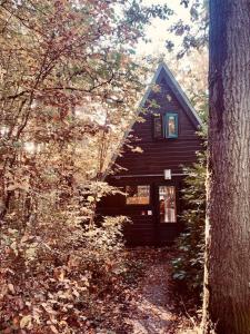 杜柏A Wood Lodge - zwembad - relax - natuur的森林中间的小房子