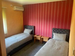 MrčajevciHostel Grof的配有红色墙壁的小客房内的两张床