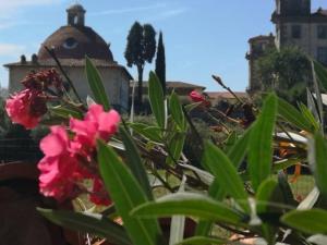 博尔格阿布贾诺Villa Artemisia的一座建筑物前有粉红色花的植物