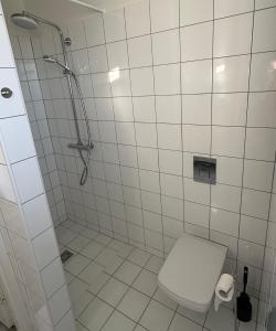 海拉农夫度假屋的白色的浴室设有卫生间和淋浴。