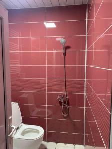 安布罗劳里Racha Rooms的一间带卫生间的浴室和红色瓷砖墙