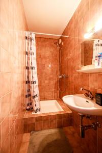 日内瓦hyper centre carouge QDC的浴室配有水槽、淋浴和浴缸。