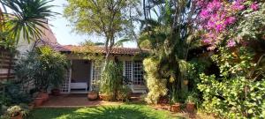大坎普Recanto da Poesia的院子里有树木和植物的房子