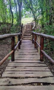 诺诺Viejo Molino的森林中一条小径上的木桥