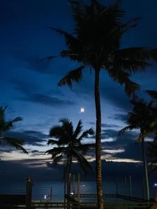 瓦尔卡拉Paradise Inn Beach Resort的一群棕榈树在海滩上度过夜晚