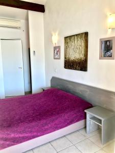 圣马迪拉莫马赛特旅馆的卧室配有紫色床和紫色地毯
