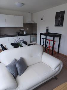 Apartmán Radenice的客厅设有白色沙发,配有厨房