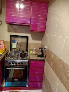 曼苏拉جناح فندقي أمام جامعة المنصورة的厨房配有紫色橱柜和炉灶