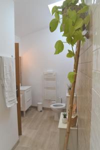 阿莱尼阿Mas Sant Jordi的一间带卫生间和植物的浴室