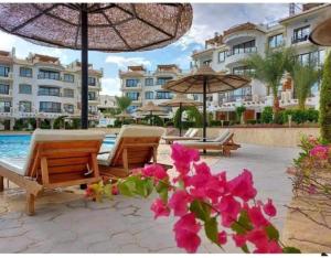 沙姆沙伊赫Sharm Hills Hotel的一个带游泳池、椅子、遮阳伞和鲜花的度假胜地