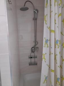 普瓦维Alpaka-Ranczo AFF的带淋浴头和浴帘的淋浴