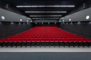 松兹瓦尔松兹瓦尔品质酒店的剧院里一个空的、红色座位的礼堂