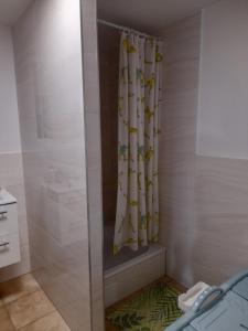 普瓦维Alpaka-Ranczo AFF的带淋浴和浴帘的浴室