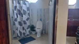BlackOmena的浴室配有带浴帘的卫生间
