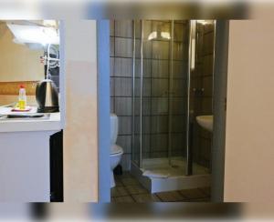 鲁汶Room in Apartment - Condo Gardens Leuven - Student Flat Semiduplex的带淋浴和卫生间的浴室