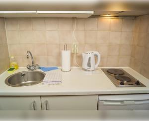 鲁汶Room in Apartment - Condo Gardens Leuven - Student Flat Semiduplex的厨房柜台设有水槽和炉灶。