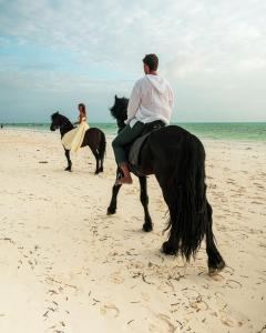 帕杰Kinazi Upepo Beach Eco Lodge的两个人在海滩上骑马