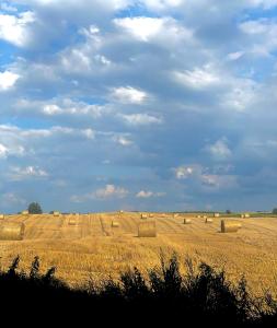 米科瓦伊基Jak Tu Ładnie - Osada i Siedlisko的一片满是干草的草场,在云天上