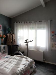 OsnyMaison de 2 chambres avec jardin clos et wifi a Osny的一间卧室配有一张床,窗户配有跑步机