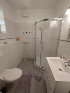 艾格扎洛克Forrás Apartman的带淋浴、卫生间和盥洗盆的浴室