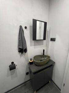 柏林Bright: Flat with Balcony - Kitchen - Free Parking的浴室设有水槽和墙上的镜子