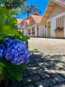 格拉玛多Pousada Cabanas Rota do Sol的房子前的蓝色花朵