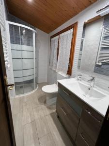 Cabaña de Caldones的一间带水槽、卫生间和淋浴的浴室