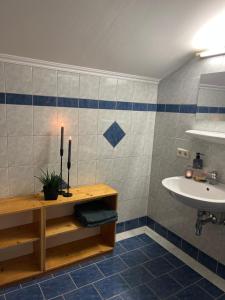 弗拉绍Appartement Stahlhammer的一间带水槽和白色水槽的浴室