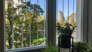 斯拉沃尼亚布罗德Apartman Majur的享有树景的窗户