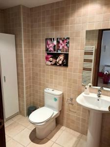 帕斯底拉卡萨ARA 3d的一间带卫生间和水槽的浴室