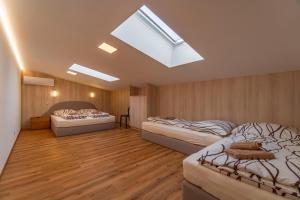 巴甫洛夫Winifera Penzion的一间卧室设有三张床和天窗