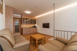 巴甫洛夫Winifera Penzion的一间带两张沙发的客厅和一间厨房