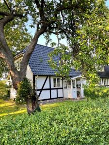 尼克宾法尔斯特Strandby 1847 B&B的白色的房子,有黑色的屋顶和一棵树