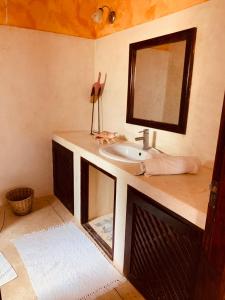瓦塔穆Nyumba Malkia at Tembo Village的一间带水槽和镜子的浴室
