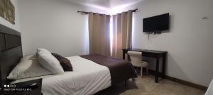 波韦尼尔Hotel y Cabañas Pulegan的一间卧室配有一张床、一张书桌和一台电视
