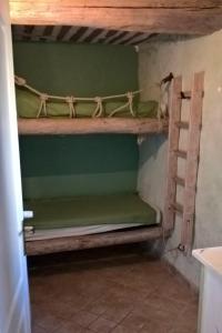 谢瓦布朗克Gîte La Charlette的带两张双层床的绿色墙壁客房