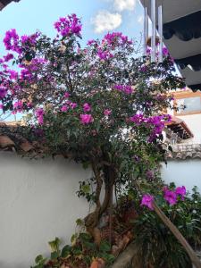 莱瓦镇Casa Central a 4 cuadras de la Plaza的墙上有紫色花的盆景树