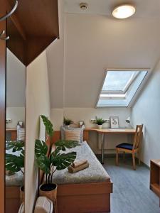 多瑙新城Híd Ifjúsági Szálló的一间卧室配有一张床、一张书桌和一个窗户。