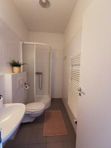 多瑙新城Híd Ifjúsági Szálló的浴室配有卫生间、盥洗盆和淋浴。