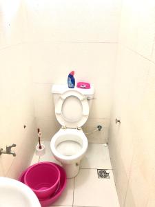 蒙巴萨Chillhaushomes的一间带卫生间和粉红色碗的浴室
