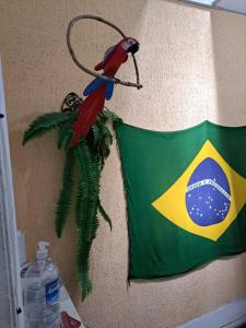 里约热内卢Botafogo Guesthouse的悬挂在墙上的鹦鹉,挂着旗帜