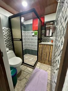 托尔图格罗Caribbean View House的一间带卫生间和淋浴的小浴室