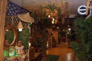 斯里曼加尔乌帕齐拉Green Leaf Guest House ColIege Road Sreemongal的一间商店,里面装有植物和镜子,还有走廊