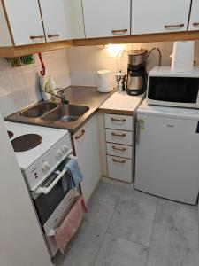 图尔库Nest Hostel的小厨房配有炉灶和水槽
