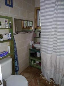 PitrufquénDonde la Euli的一间带卫生间和淋浴帘的浴室