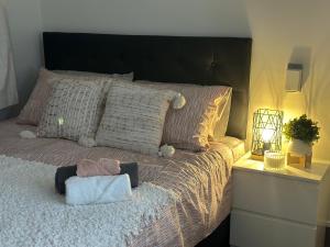 奥克兰Eden Lodge的一间卧室配有一张大床和黑色床头板